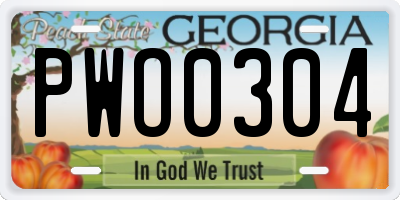 GA license plate PWO0304