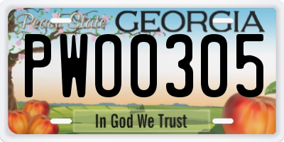 GA license plate PWO0305
