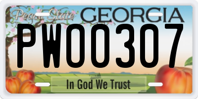GA license plate PWO0307
