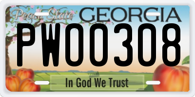 GA license plate PWO0308