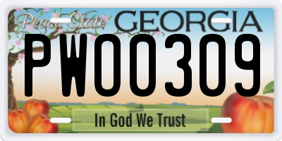 GA license plate PWO0309