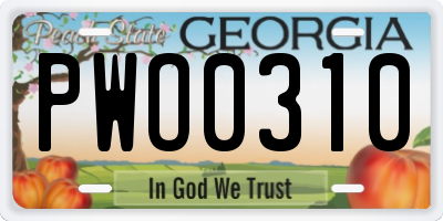 GA license plate PWO0310