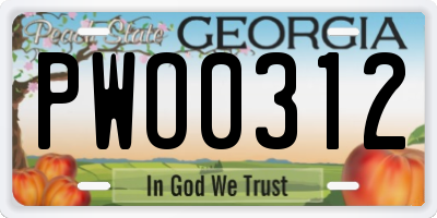 GA license plate PWO0312