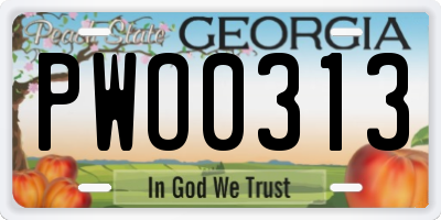 GA license plate PWO0313