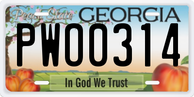 GA license plate PWO0314