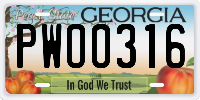 GA license plate PWO0316