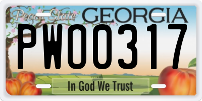 GA license plate PWO0317