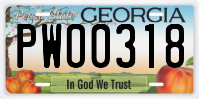 GA license plate PWO0318