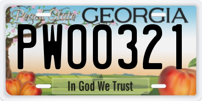 GA license plate PWO0321