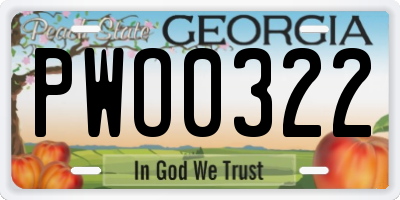 GA license plate PWO0322