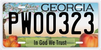 GA license plate PWO0323