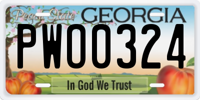 GA license plate PWO0324