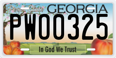 GA license plate PWO0325