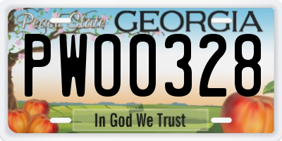 GA license plate PWO0328