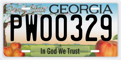 GA license plate PWO0329
