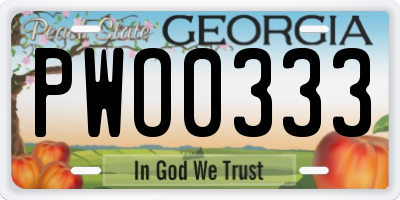 GA license plate PWO0333