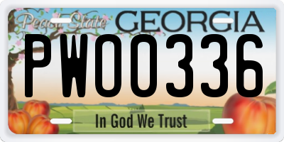GA license plate PWO0336