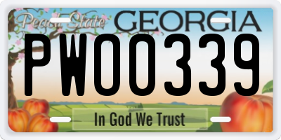 GA license plate PWO0339