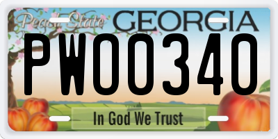 GA license plate PWO0340