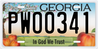 GA license plate PWO0341