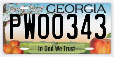 GA license plate PWO0343