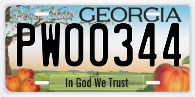 GA license plate PWO0344