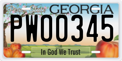 GA license plate PWO0345