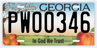 GA license plate PWO0346