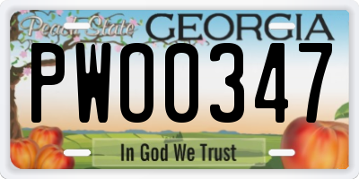 GA license plate PWO0347