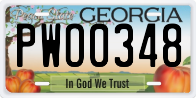 GA license plate PWO0348