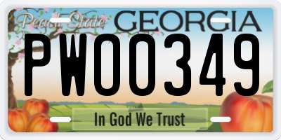 GA license plate PWO0349