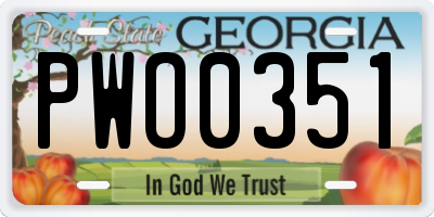 GA license plate PWO0351