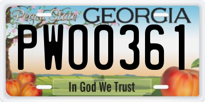 GA license plate PWO0361