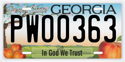 GA license plate PWO0363