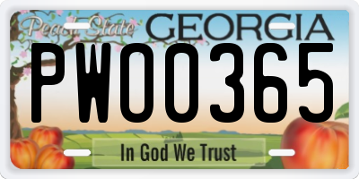 GA license plate PWO0365