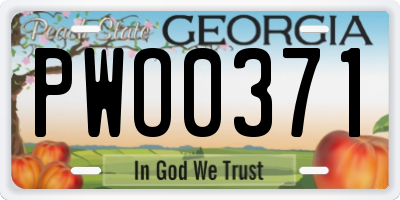 GA license plate PWO0371