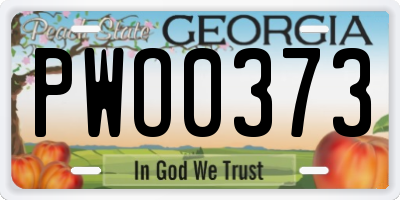 GA license plate PWO0373