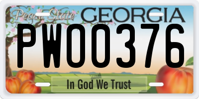 GA license plate PWO0376