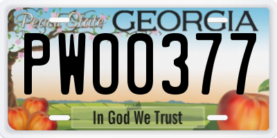 GA license plate PWO0377