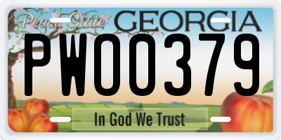 GA license plate PWO0379