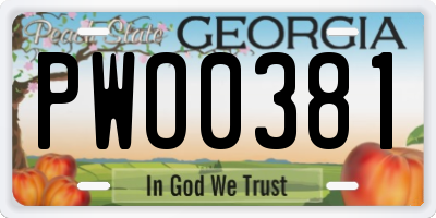 GA license plate PWO0381