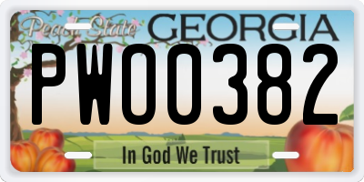 GA license plate PWO0382