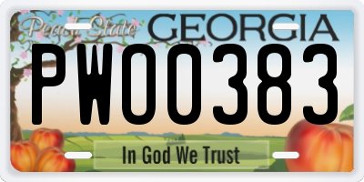 GA license plate PWO0383