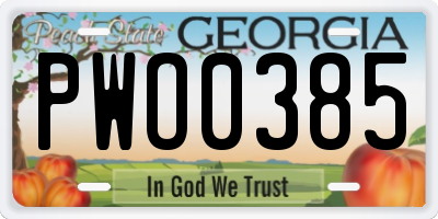 GA license plate PWO0385