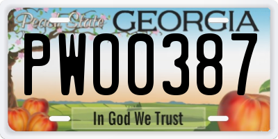 GA license plate PWO0387