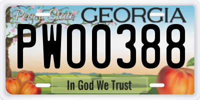 GA license plate PWO0388