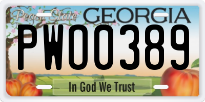 GA license plate PWO0389
