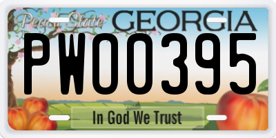 GA license plate PWO0395