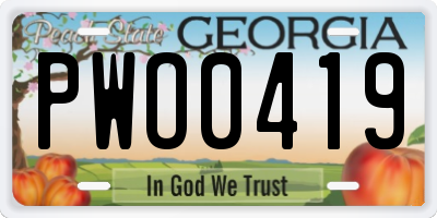 GA license plate PWO0419