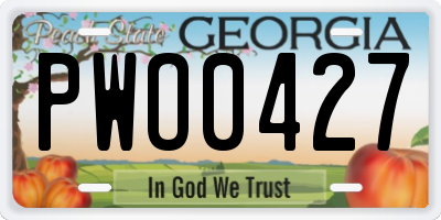 GA license plate PWO0427